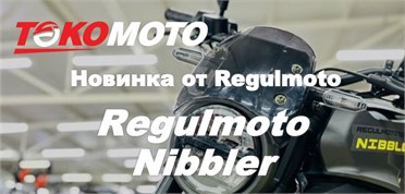 Regulmoto Nibbler уже в ТОКОМОТО