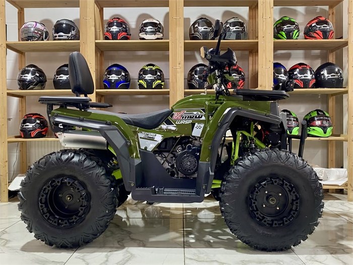 Квадроцикл ATV WASP-200 / зелёный 2zJcz-CTjy1zj4CMPPGCp0 - фото 19270
