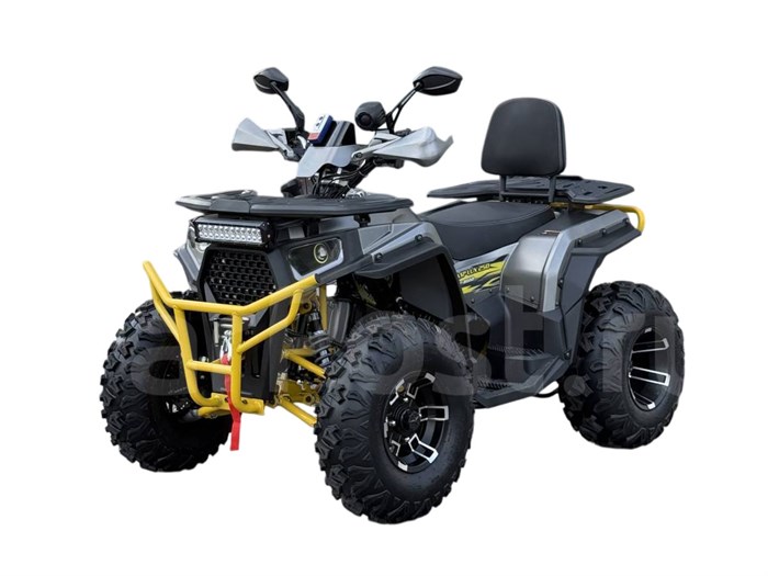 Квадроцикл ATV WASP-250 (серый) Mx0Dp8fOj1nzvrRT3h6xr0 - фото 21608