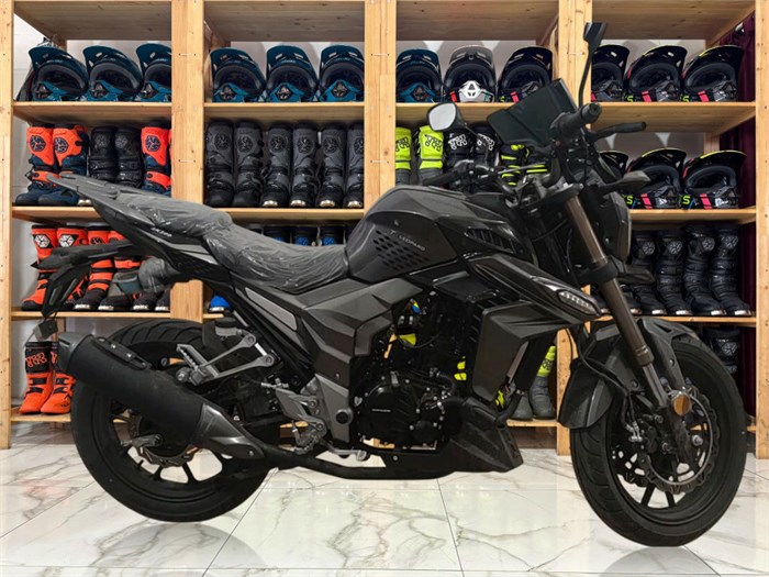 Мотоцикл Regulmoto T-Leopard 300 (Черный, , 100015-3) Dm8SmzCIiR47JSEtNDSYu0 - фото 22959
