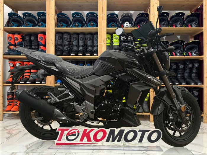 Мотоцикл Regulmoto T-Leopard 300 (Черный, , 100015-3) Dm8SmzCIiR47JSEtNDSYu0 - фото 23291