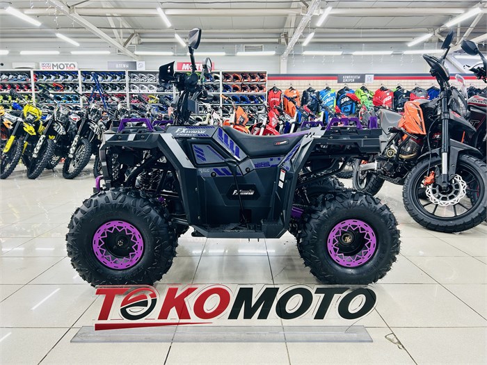 Комплект для сборки FX MOTO ATV SS125-2 (чёрно-фиолетовый) nnENOrfSjYrLg-klwibqS0
