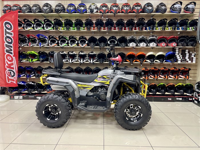 Комплект для сборки ATV WASP-250 (чёрный) ByNo00vajZQN12Cw3rvrS0