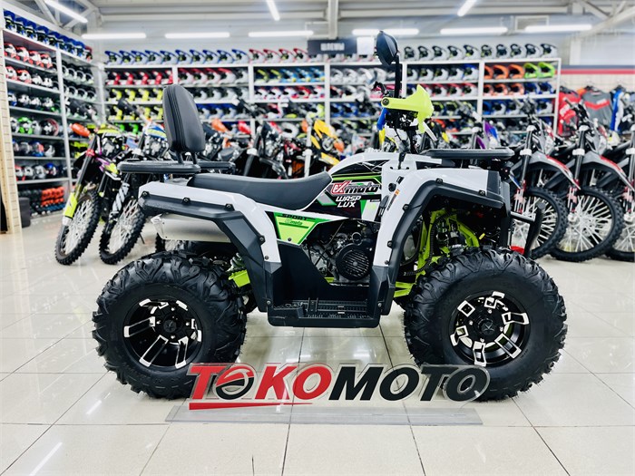 Комплект для сборки ATV WASP LUX-200 (зеленый/белый) R3XzqI01iG52YbLq2y63i0