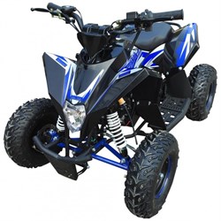 Квадроцикл Motax Геккон 1+1 70сс Черно-синий - фото 6732