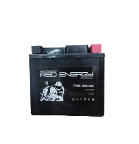 RS 12-05 Red Energy Аккумуляторная батарея