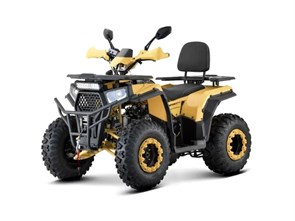 Квадроцикл ATV WASP-250 (бежевый) 0whU7YBzgcehDJgCnw0sF1
