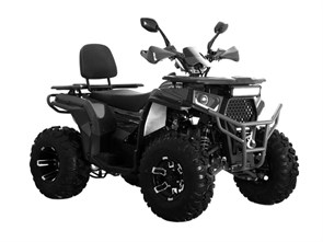 Квадроцикл ATV WASP-250 (чёрный) DGCdHTbbiRQOAIwZxmx5u1