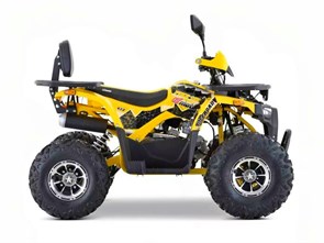Квадроцикл PIKE 150/ желтый p5yEBr1og9L9ERXzchYVx3