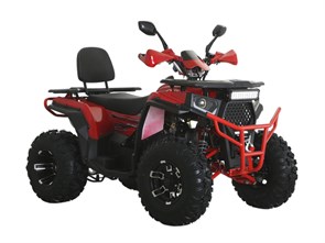 Квадроцикл ATV WASP-250 (красный) stMCSGkvhsnKCbmJHm3Cc0