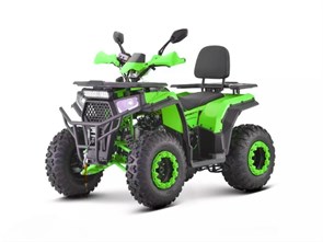 Квадроцикл ATV WASP-250 (зелёный) UwAmzJ9wjb6cnO9IQNOKj1