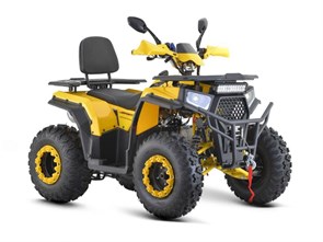 Квадроцикл ATV WASP-200 / жёлтый VXGn4PDgiDi4FHHEjjZbm3