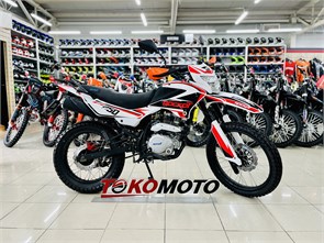{{photo.Alt || photo.Description || 'Мотоцикл эндуро ROCKOT ZR250 (белый/красный, 21/18, ЭПТС) (тм)'}}