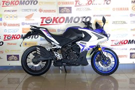 {{productViewItem.photos[photoViewList.activeNavIndex].Alt || productViewItem.photos[photoViewList.activeNavIndex].Description || 'Мотоцикл RACER RC250XZR-A STORM'}}