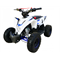 Квадроцикл Motax Геккон 1+1 70сс бело-синий - фото 11202