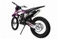 Эндуро мотоцикл BRZ X5 LITE 250cc 21/18 PURPLE 5555