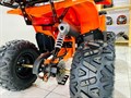 Квадроцикл HORNET 125 Оранжевый CnuJtNQDgCIbjTRGjA1k32