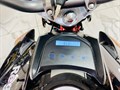Мотоцикл Regulmoto Raptor 250 new Черный 100010