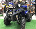 Квадроцикл FX MOTO BULL-200 синий L8B1ZoUejt8snNDZBqVCI2