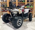 Квадроцикл BRAVES-200 LUX (Hunter 200)/белый obdlvgssggWeg5U2Myn6h0