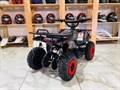 Электроквадроцикл Motax GRIZLIK mini E1000 BW motax GQAntAVUjwr62gr9ICbkN1