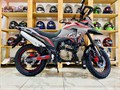 Мотоцикл турэндуро ROCKOT DAKAR 250 (171YMM, серый/красный, ЭПТС) 00000439063-1 - фото 16247