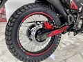 Мотоцикл эндуро ROCKOT XR250 (черный/красный, 21/18, ЭПТС) 00000441444
