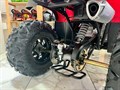 Квадроцикл FX MOTO  BULL-200 красный YLux08x4jd4O0eHiqe0QU2