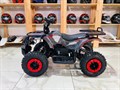 Квадроцикл GRIZLIK MINI ES BW черный-зеленый камуфляж E3drgf88jT6gcWA5Inh6E2