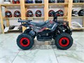 Квадроцикл GRIZLIK mini ES BW motax X36D44CBgkWQFT5R-xylh0