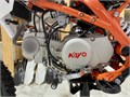 Питбайк KAYO BASIC TT140 17/14 KRZ (механ. сцепл., кикстартер 2022 г.) mzI7nFxpiXipT6oB8MKuY3
