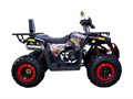Квадроцикл BRAVES-200 LUX (Hunter 200)/красный FJ9-8fezheAnkmwox3dw90 - фото 21600