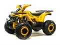 Квадроцикл ATV HAMMER-125 (жёлтый /yellow) qb76PHXYgA7738lWTpVyJ0 - фото 21611