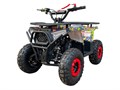 Квадроцикл GRIZLIK MIDI PS BW motax/ мех. стартер RC1gg2MSiwC387srd2iPW2 - фото 21613
