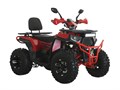 Квадроцикл ATV WASP-250 (красный) stMCSGkvhsnKCbmJHm3Cc0 - фото 21614
