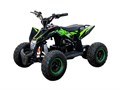 Квадроцикл GEKKON E1300 черный-черный-зеленый xaMgF7hPh4KYokMD4cGll3 - фото 21635