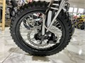 Питбайк BSE EVO 110e Twister A 14/12 (Автомат КПП) CxssULumiSpbRR1kmhoU41