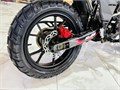 Мотоцикл Regulmoto DUKE PRO (Красный, , 108874-1)(тм) A5z488yjjpHoHM95Hu-Ms2