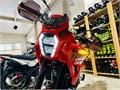 Мотоцикл LONCIN MS250 Красный (Red, RK3), Classic, 2025(ПТС) TxHCGwSNgCBR0FhXArAoK2