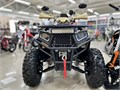 Комплект для сборки ATV WASP-250 (бежевый) aIQtEU3viegP574QeldBr3