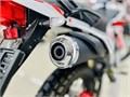 Мотоцикл эндуро ROCKOT ZR250 (белый/красный, 21/18, ЭПТС) 00000441439