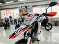 Мотоцикл эндуро ROCKOT ZR250 (белый/красный, 21/18, ЭПТС) 00000441439