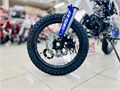 Питбайк BSE EVO 110e Fury Red 14/12 M (мех. КПП) (рок) 0-xaSOC2gg-KbmURDCTTb3