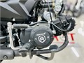 Мопед ROCKOT ALPHA OFFROAD (черный глянцевый) 00000433943