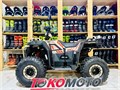 Комплект для сборки FX MOTO ATV SS125-1 (хаки) DsrsskXNjuEj8KRW3HPnw2