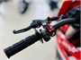 Мотоцикл эндуро ROCKOT GS7-L Strive (250cc, 171FMM (YB250R), 21/18) 00000441538