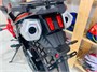 Мотоцикл турэндуро ROCKOT HOUND 250 LUX (оранжевый, ЭПТС) теперь новый дизайн ZyVOxHD7iA-aXgQXAx-RI3