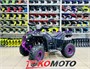 Комплект для сборки FX MOTO ATV SS125-3 (черно-фиолетовый) vnsz0lprjJEkIK6W-RIdR1