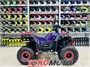 Комплект для сборки FX MOTO ATV SS125-3 (сине-красный) qkChYNIeg3B4vD1Ibzpkr0