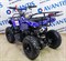 Квадроцикл Avantis ATV Classic mini 49сс 2т (электростартер) Синий паук 11490-2